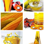 Vegetable Oils Pic