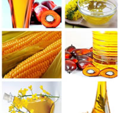 Vegetable Oils Pic